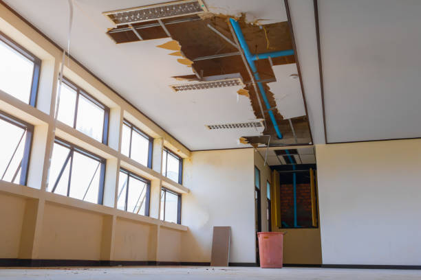 Best Commercial water damage restoration  in Buckhorn, CA