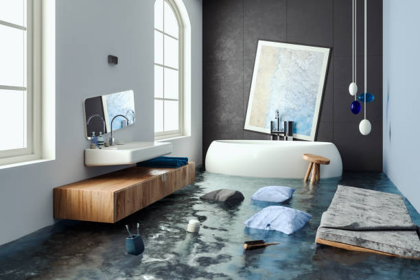Best Professional water damage repair  in Buckhorn, CA