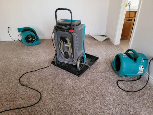Best Water damage contractors near me  in Buckhorn, CA