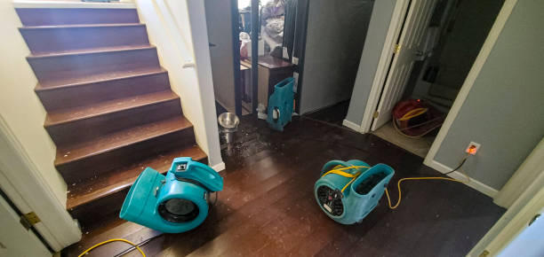 Best Flood restoration services  in Buckhorn, CA