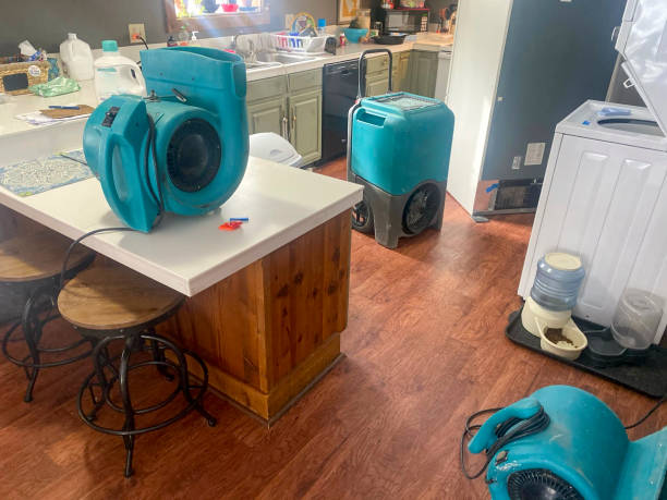Best Local water damage restoration  in Buckhorn, CA