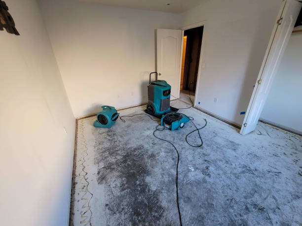 Best Flood restoration services  in Buckhorn, CA