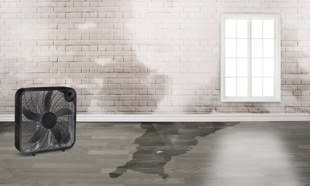 Carpet water damage restoration in CA