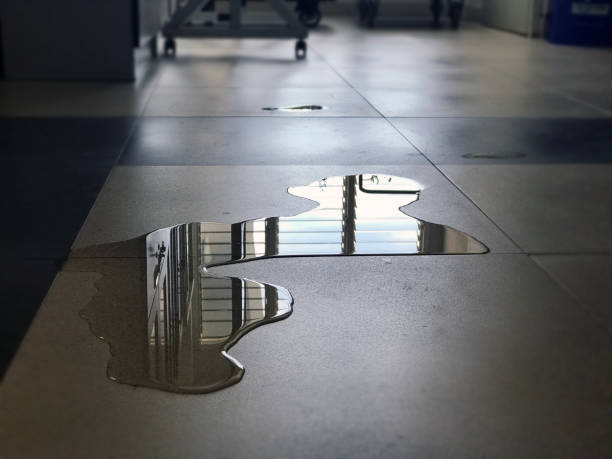 Best Water damage contractors near me  in Buckhorn, CA