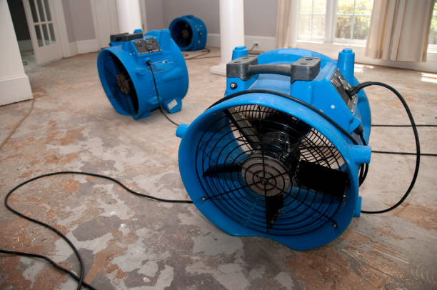 Professional Water damage restoration in CA