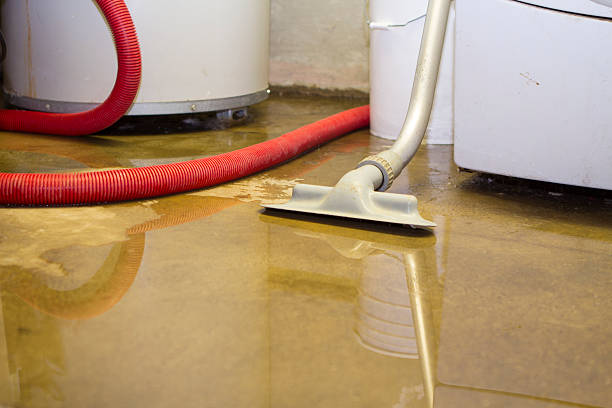 Best Sewage cleanup and water damage restoration  in Buckhorn, CA