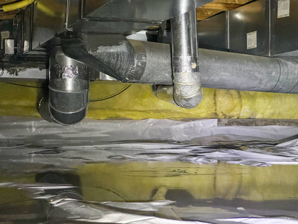 Best Water damage restoration specialists  in Buckhorn, CA