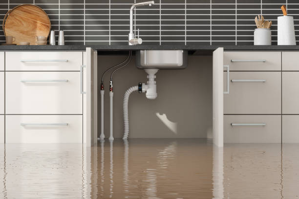 Best Water damage restoration company  in Buckhorn, CA