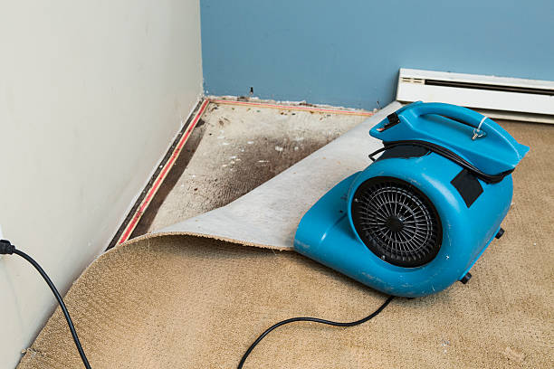 Best Emergency water damage restoration  in Buckhorn, CA